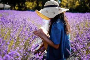 Encontrá la paz con la familia Aceites Esenciales Lavanda