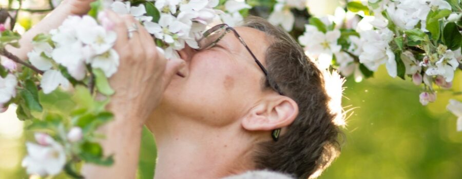 El poder de los aromas en tu día a día