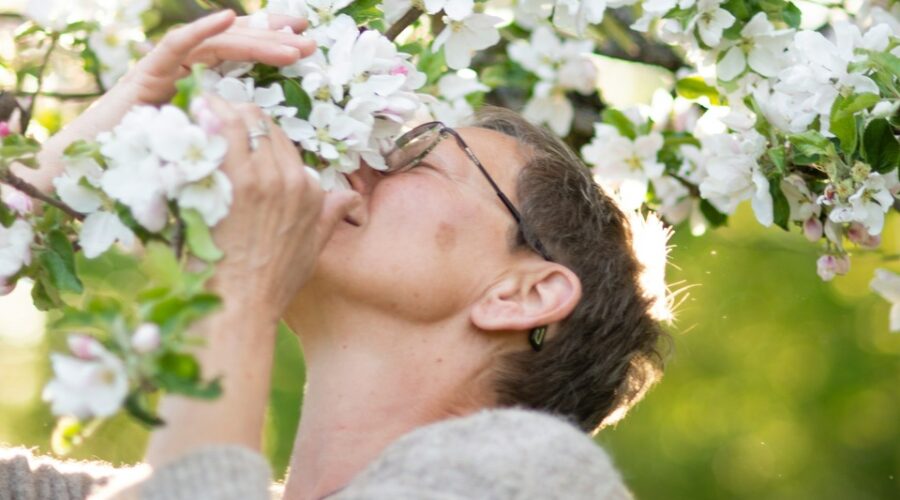 El poder de los aromas en tu día a día